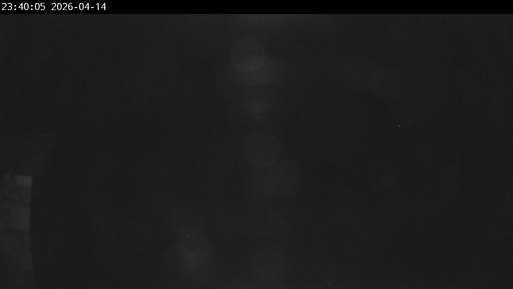 Webcam en Pla de Vaques - TS Junior