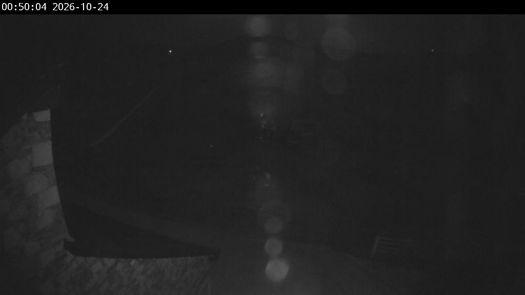 Webcam dans Pla de Vaques - TS Junior