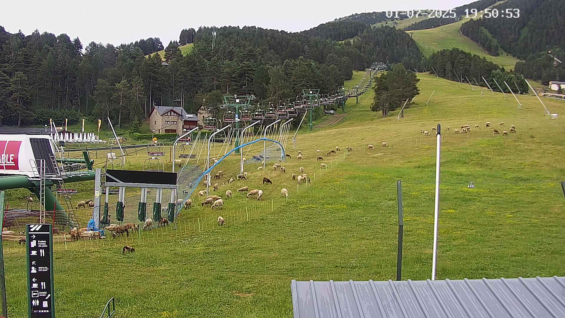Webcam en Pista Llarga - Base