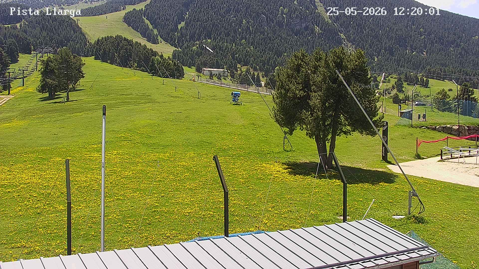 Webcam en Pista Llarga - Base