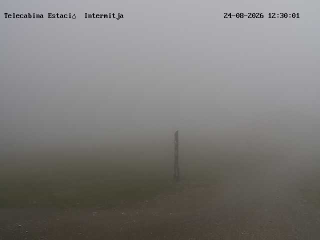 Webcam en TC Cad&iacute;-Moixer&oacute; - Intermedia