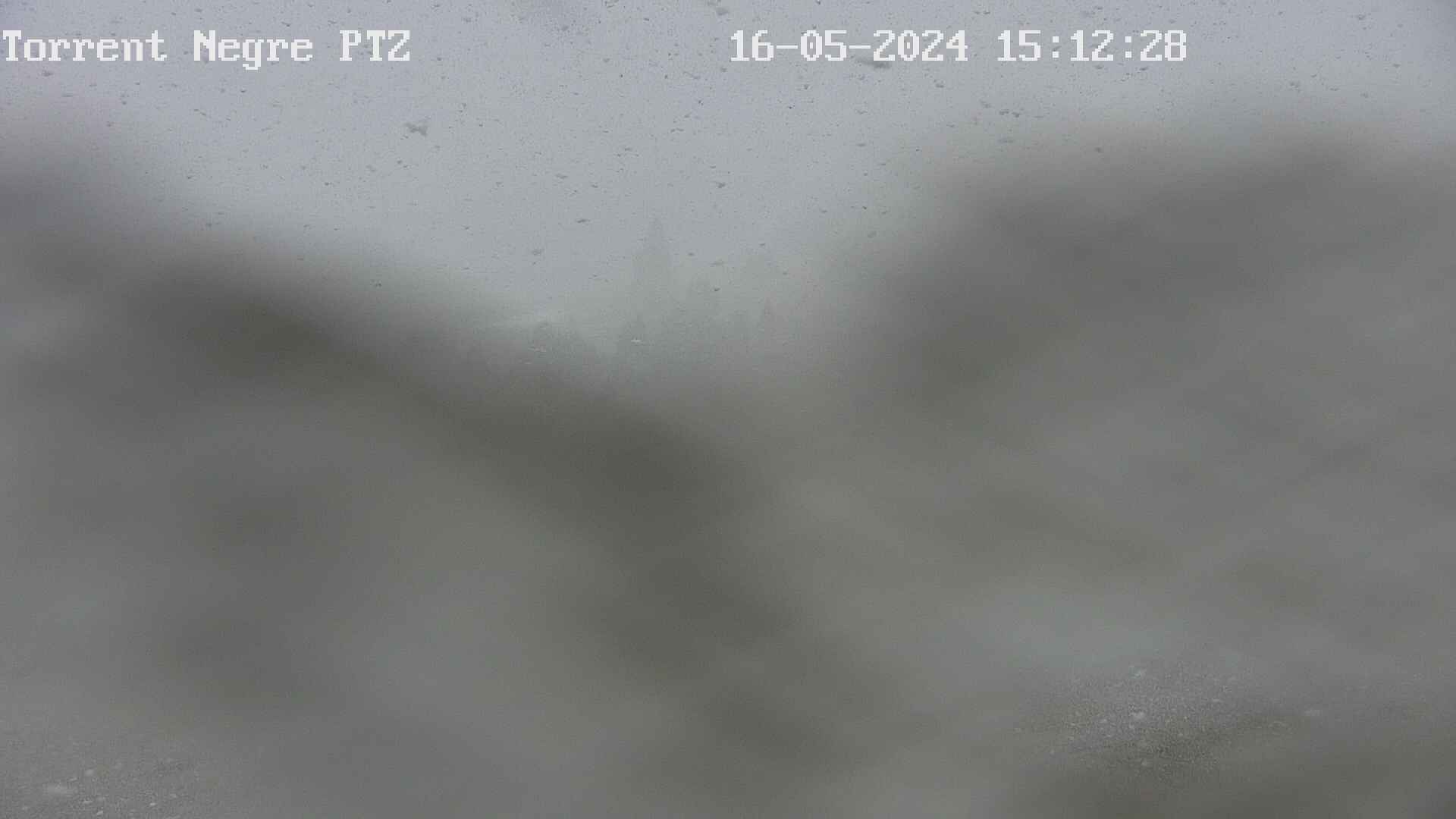 Webcam dans Torrent Negre