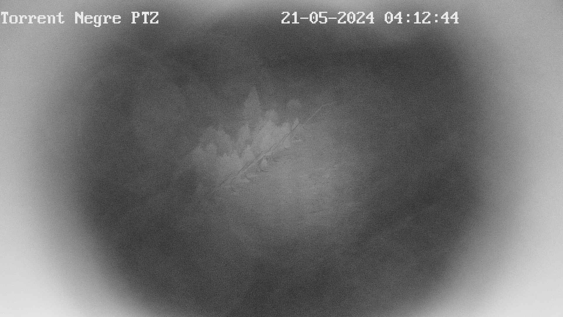 Webcam dans Torrent Negre