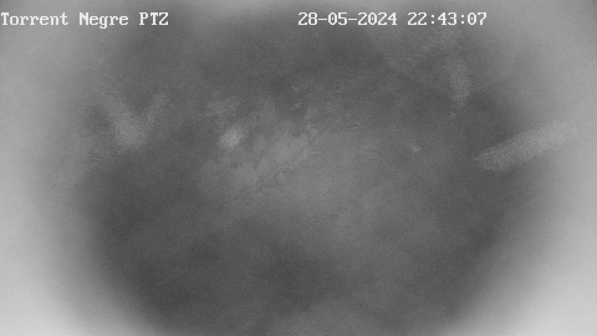 Webcam en Torrent Negre