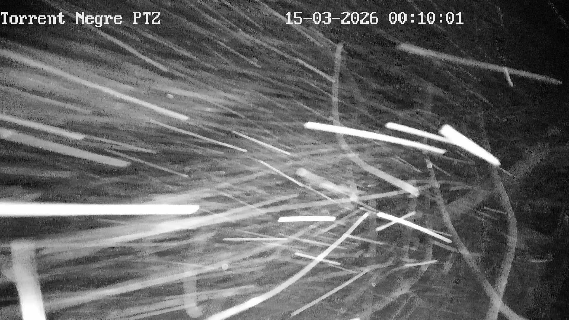 Webcam en Torrent Negre