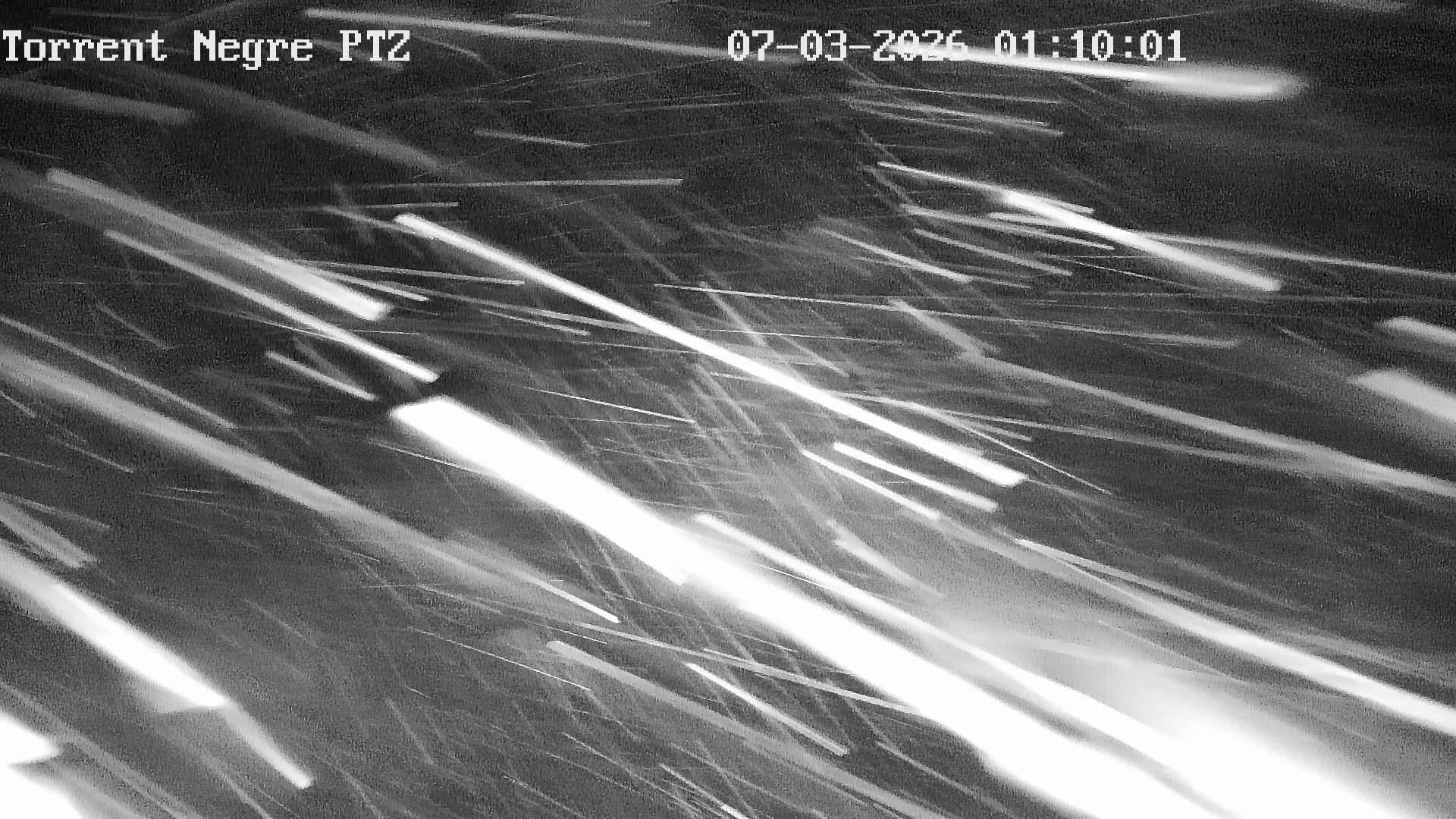 Webcam en Torrent Negre