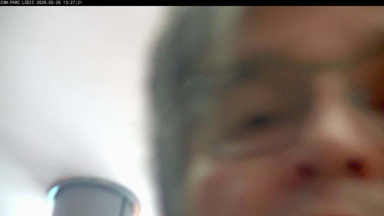 Webcam en Parque L&uacute;dico