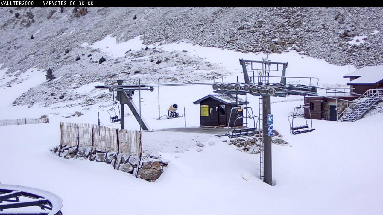 Webcam en Marmotes