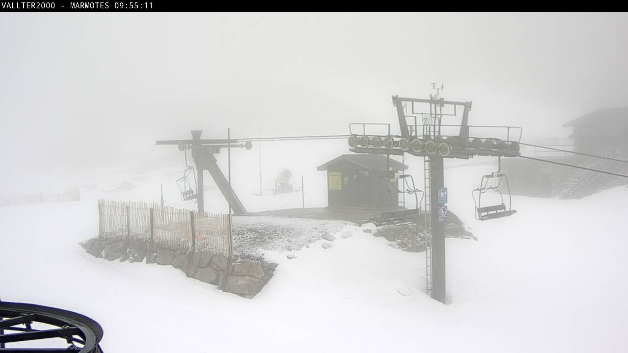 Webcam en Marmotes