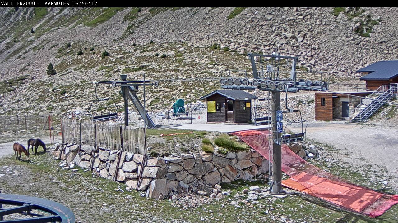 Webcam en Marmotes